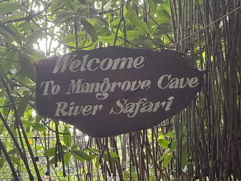 Mangrove Cave River Safari-亚洪加拉必去景点
