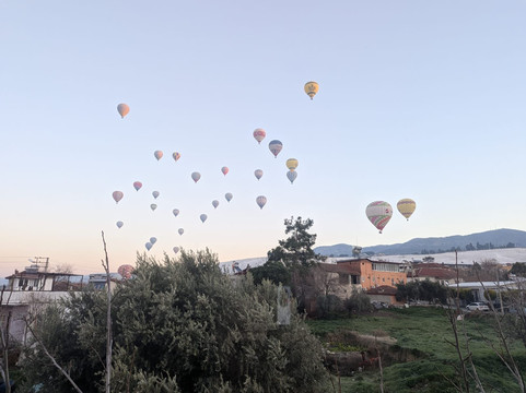 棉花屋酒店主图