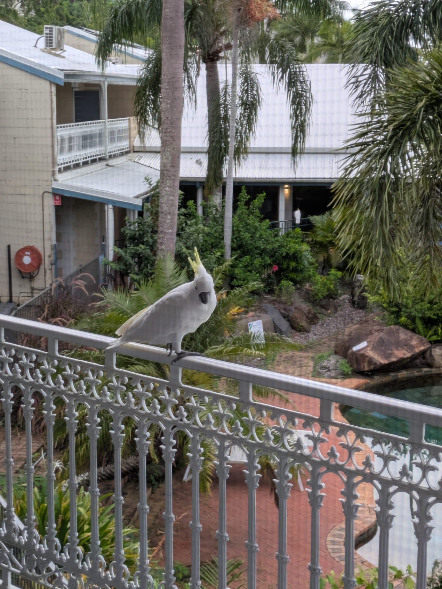 圣灵群岛棕榈汽车旅馆-官方