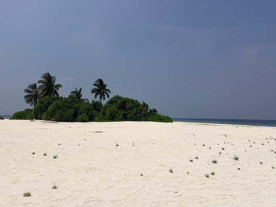Omadhoo Coral View Inn主图