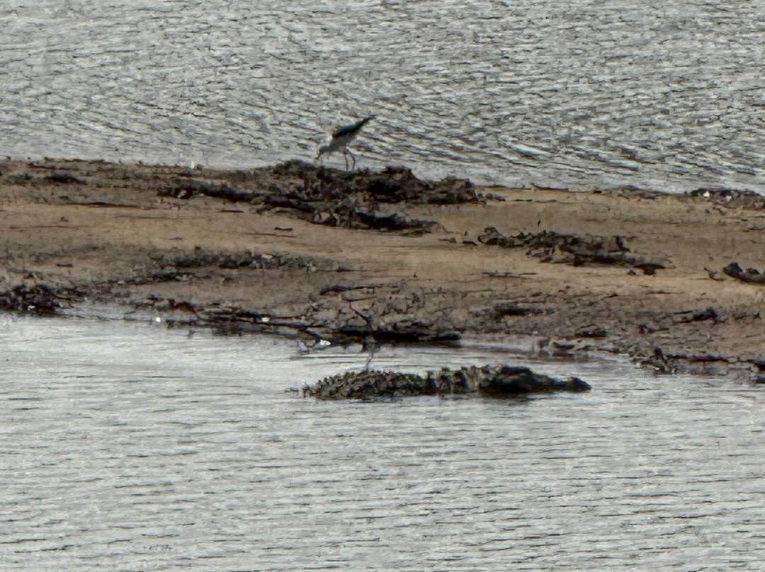 Udawalawe Safari Tours-乌达瓦拉维国家公园必去景点