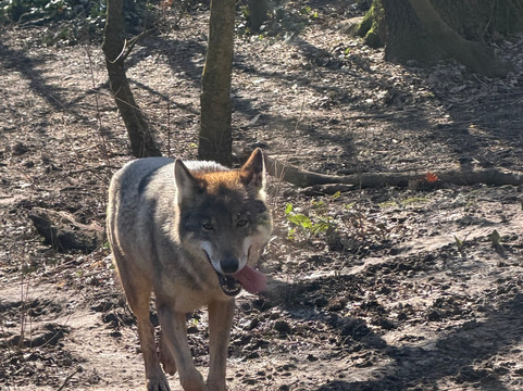 Parco Zoo di Poppi-波皮必去景点