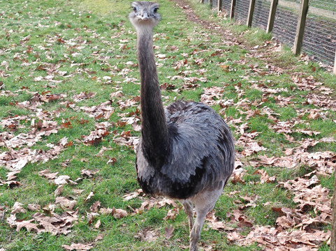 比尔公园-雷丁必去景点