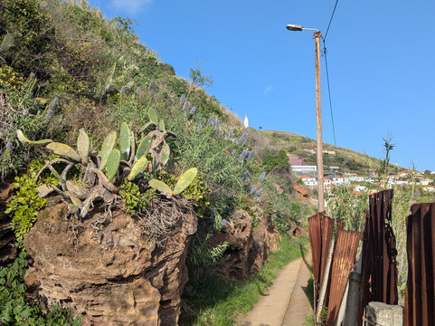 Levada do Piornais-马德拉群岛必去景点