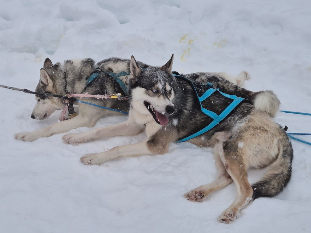 Arthotel Tornedalen主图