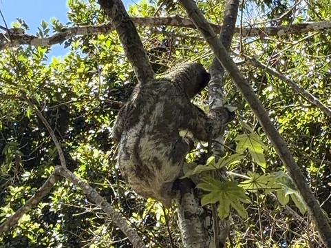 Amazon Jungle Johnny Tours-Puerto Narino必去景点