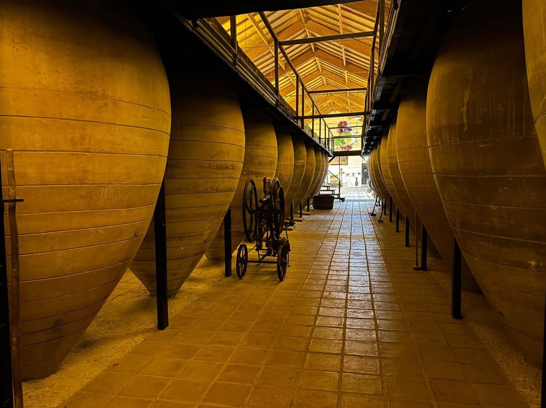 Museo del Vino-Valdepenas必去景点
