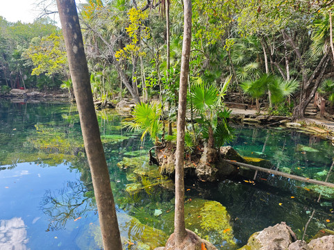 Pasku Dive-普拉亚德尔卡曼必去景点