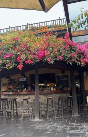 博卡拉寺庙树度假村及水疗中心-官方