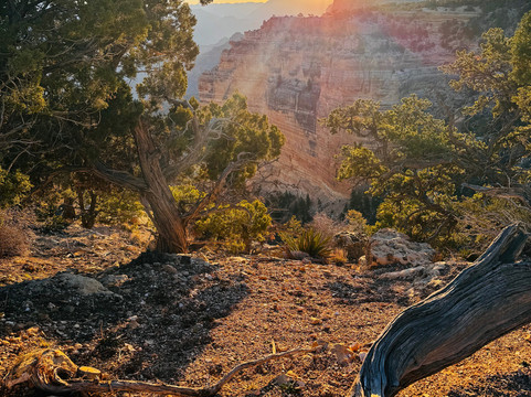 马斯威克南部山林小屋主图