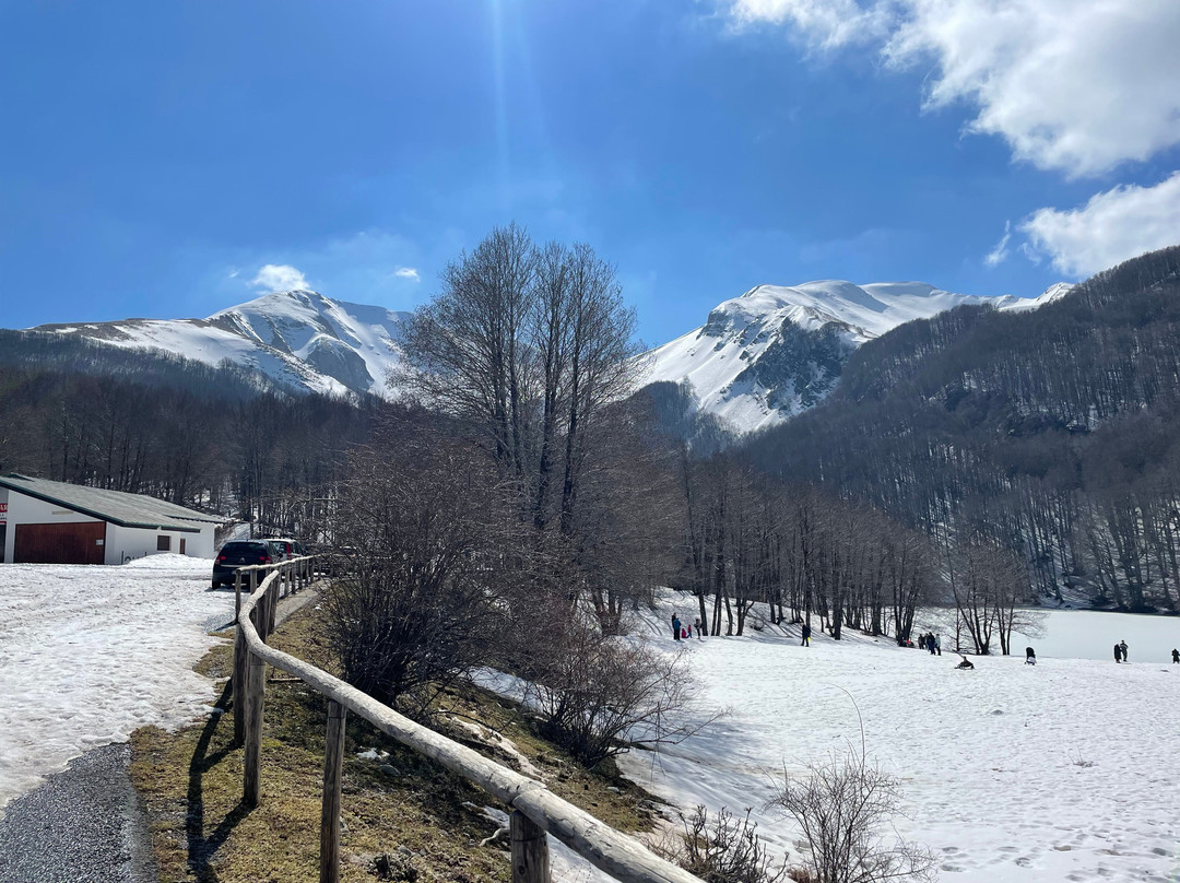 Agriturismo il Giglio del Cavaliere主图