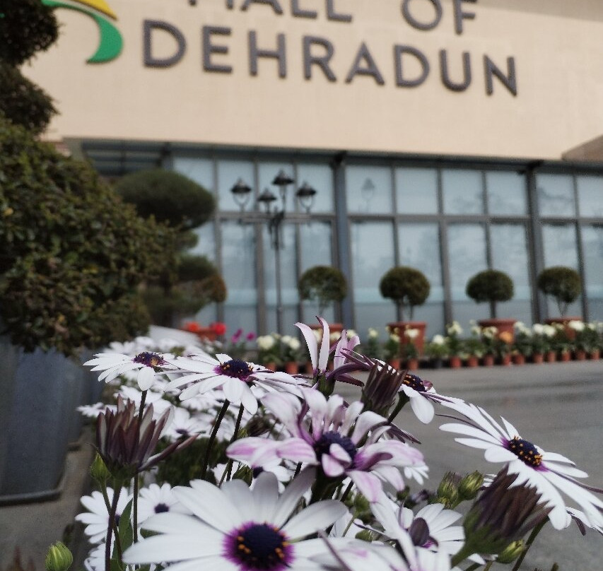 Mall Of Dehradun-阿姆利则必去景点