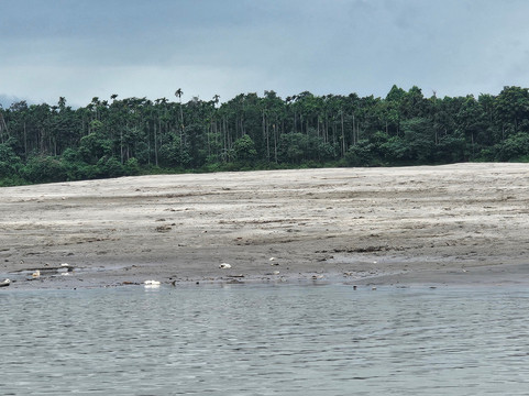The Sundarbans-库尔纳县必去景点