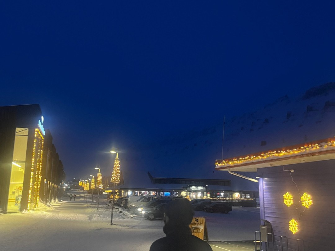 Svalbard Pro-朗伊尔城必去景点