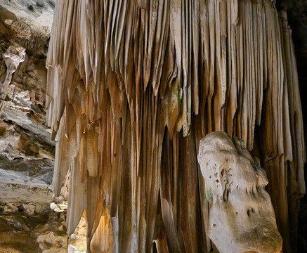 Umzantsi Afrika Tours-伊丽莎白港必去景点