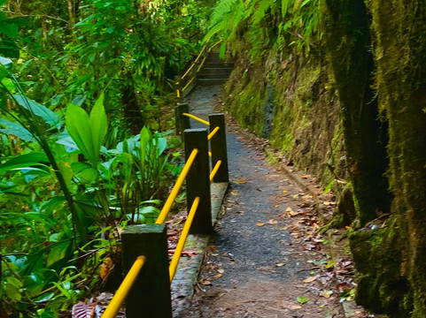 Untouchable Tours-Calibishie必去景点