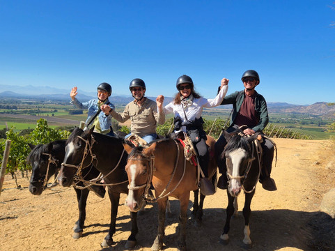 Natural Wine Tours-Palmilla必去景点