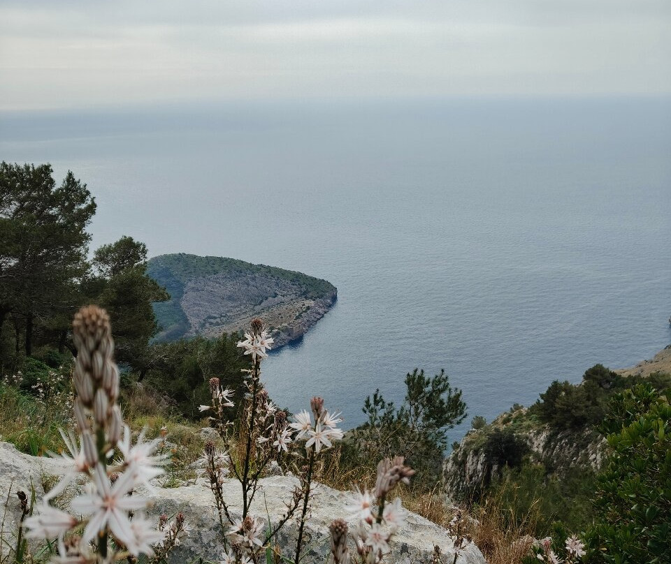 Area Marina Protetta Punta Campanella-马萨卢布伦塞必去景点