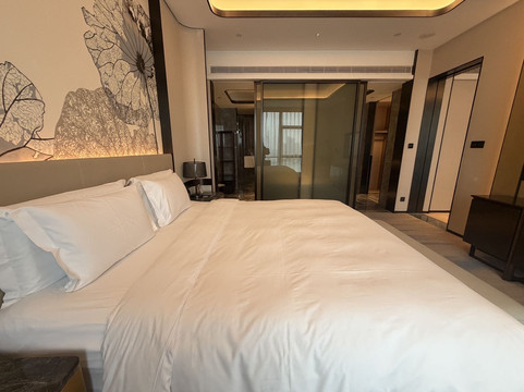 苏州太仓华发雅高铂尔曼酒店主图