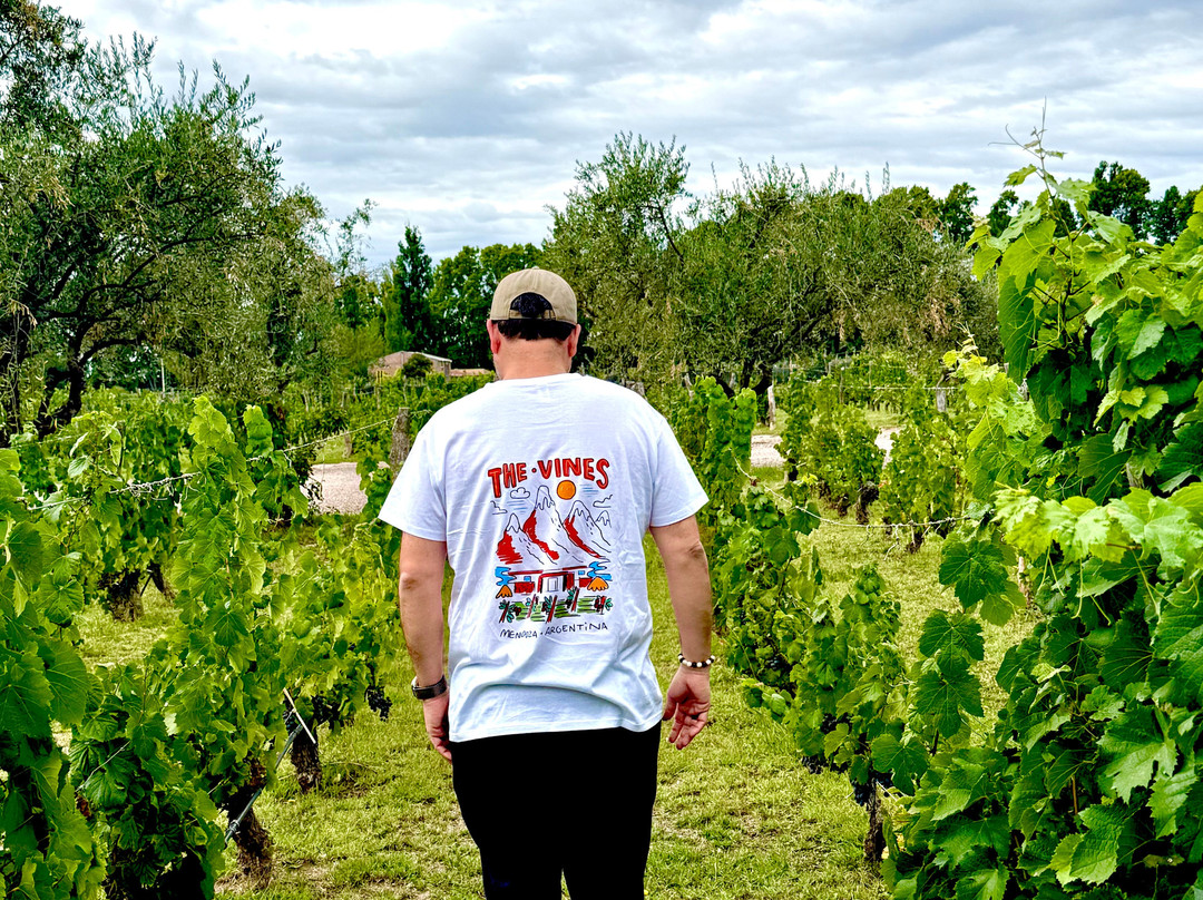 Bodega Renacer-路冉得库约必去景点