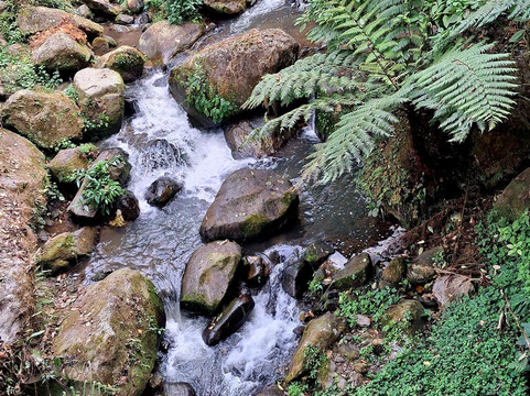 Banjhakri Water Falls-甘托克必去景点