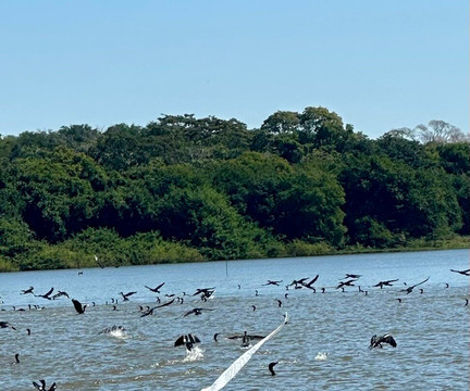 Mexique Découverte-坎昆必去景点