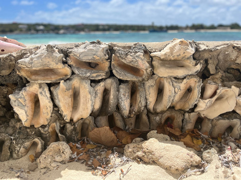 Scilly Cay-Island Harbour必去景点