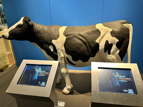 Museo Arocena-Torreon必去景点