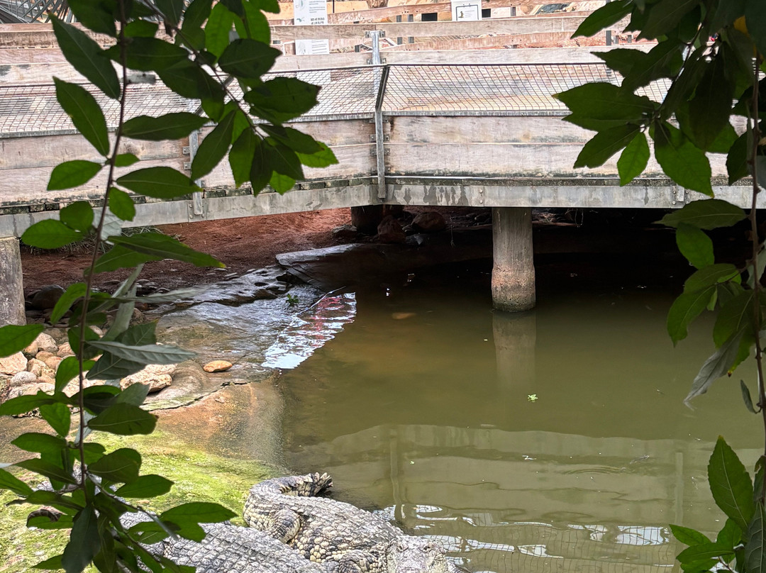 La Ferme Aux Crocodiles-Pierrelatte必去景点