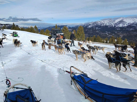 Spirit of the North Sled Dog Adventures-Ennis必去景点