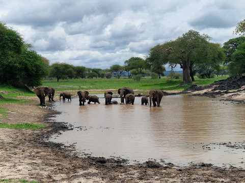 Zara Tanzania Adventures-莫西必去景点