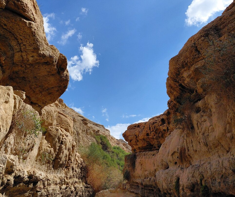 Nachal Arugot Nature Reserve-Masada必去景点