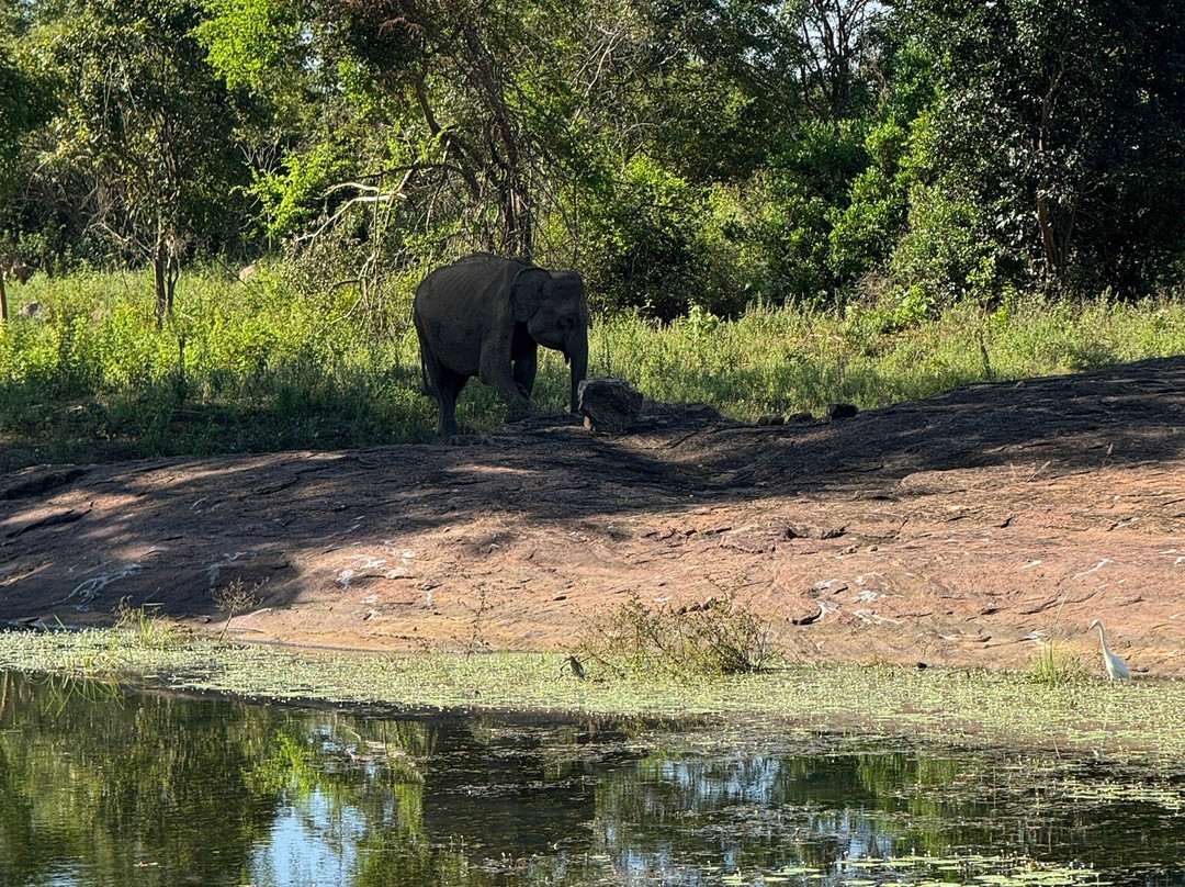 Wild Lake Side Holiday Resort主图