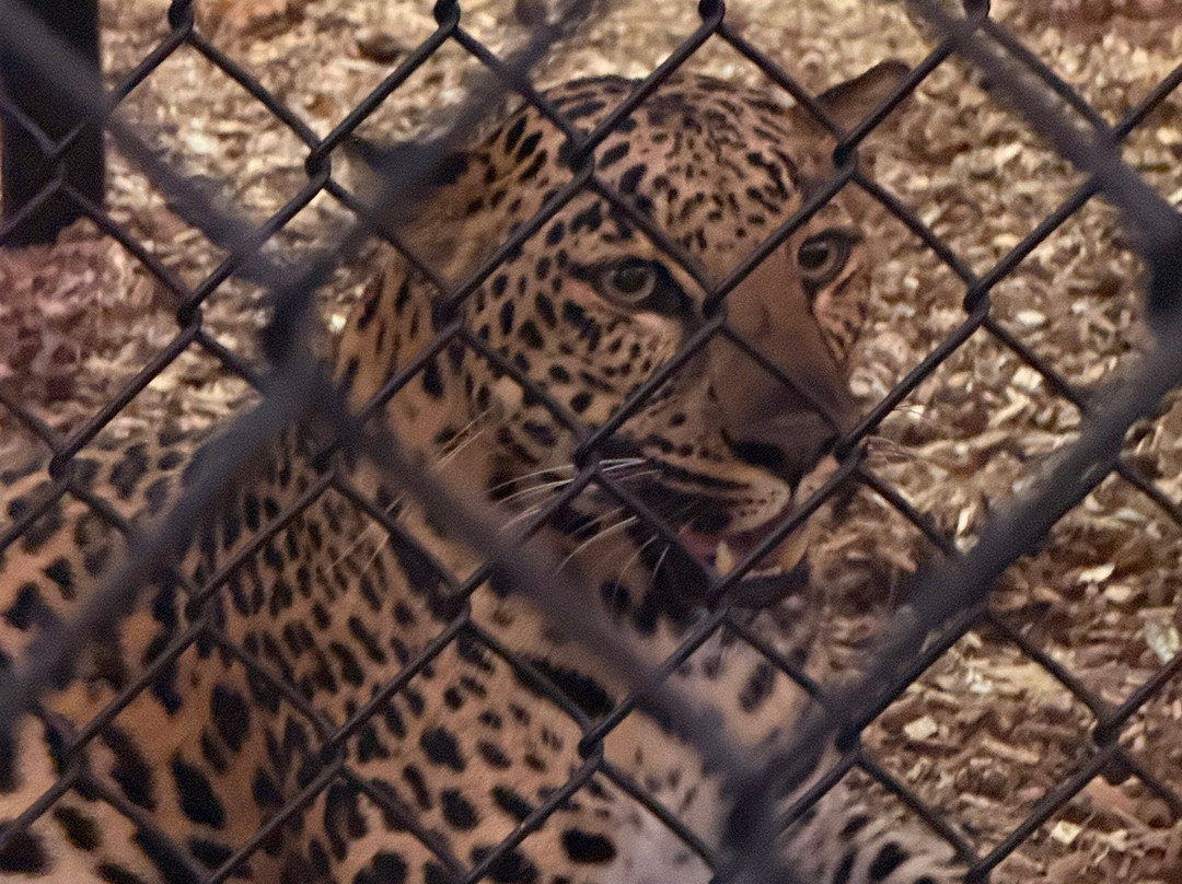 Panther Ridge Conservation Center-Loxahatchee必去景点
