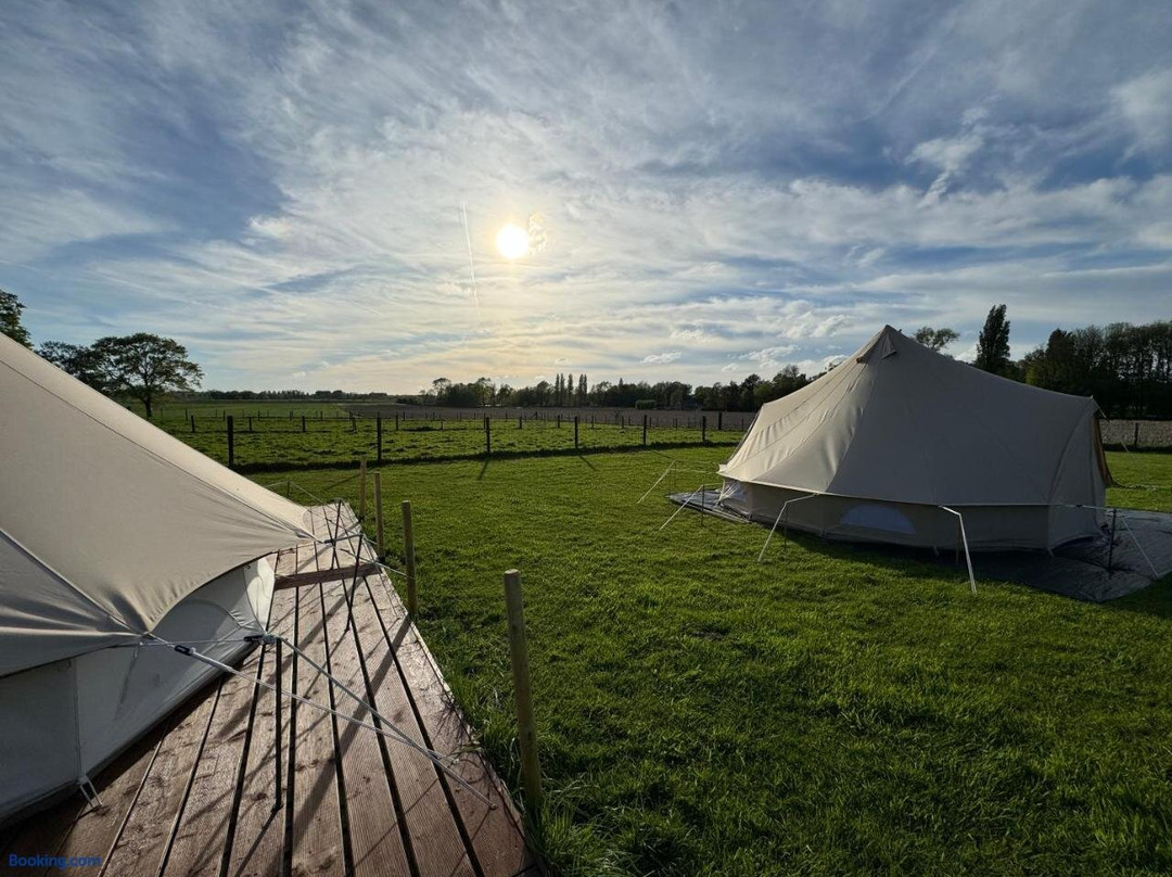 Glamping Mangoeste