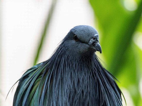 国家鸟类公园-匹兹堡必去景点