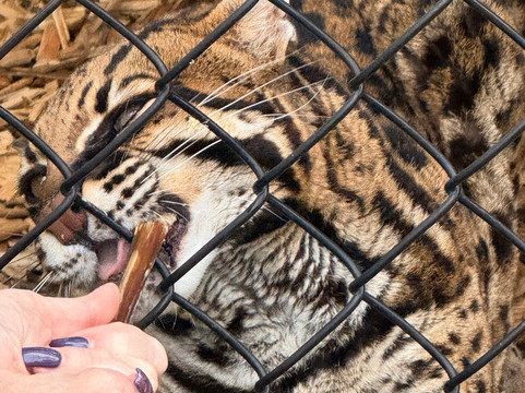 Panther Ridge Conservation Center-Loxahatchee必去景点