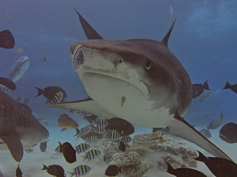 OK Maldives-马累必去景点