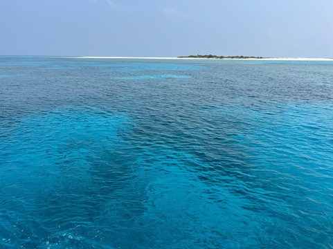 Blue Wave Ifuru By Dive Butler At Ifuru Island Maldives-Ifuru必去景点