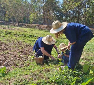 Mon Beau Trip-Falicon必去景点