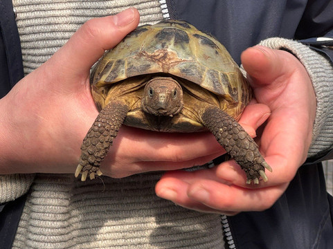 Lucky Tails Alpaca Farm-Atherstone必去景点