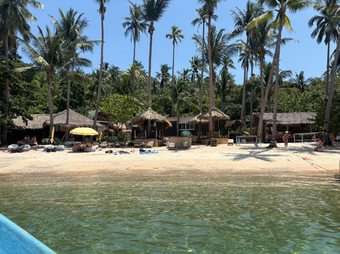 棕榈叶度假村主图