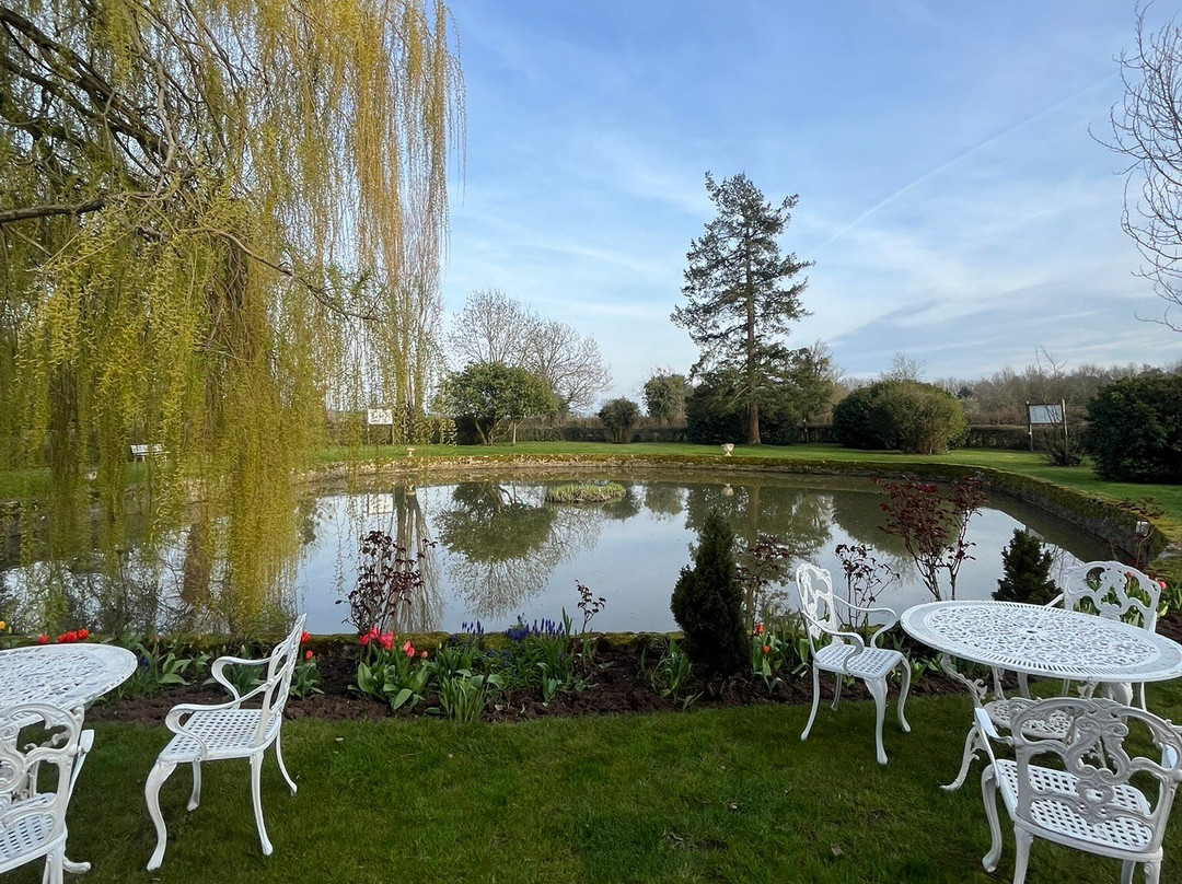 科西草坪别墅酒店主图