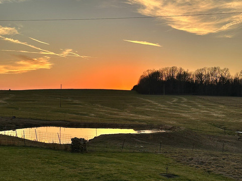 Piney River Brewing Company-Bucyrus必去景点