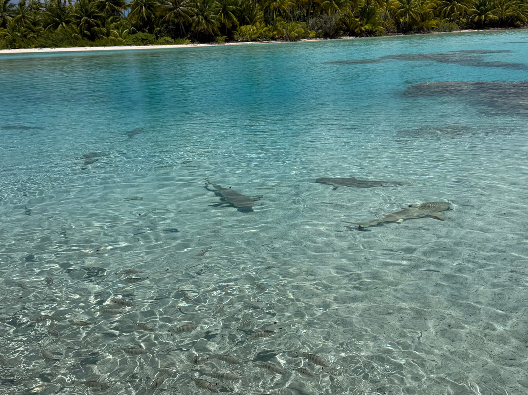 Fakarava Excursions-Fakarava必去景点