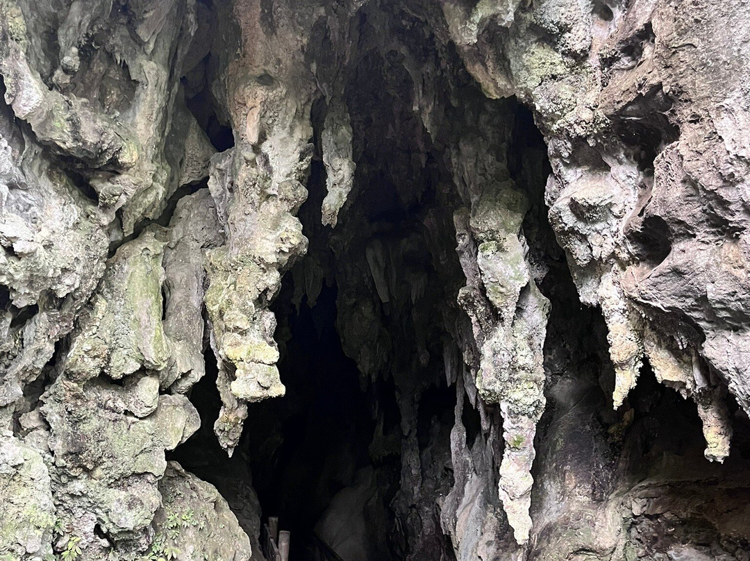 Kawiti Glow Worm Caves-Kawakawa必去景点