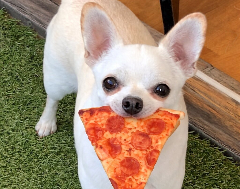 American Pizza Today