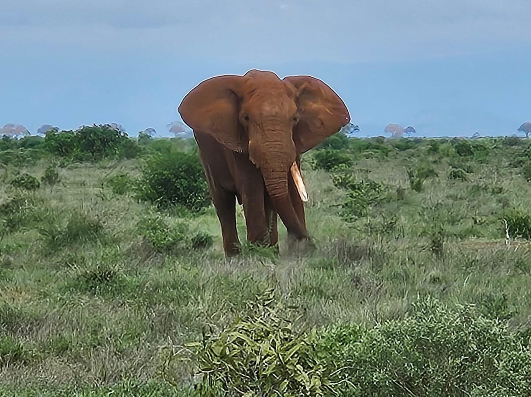 Info Kenya Tours-瓦塔木必去景点