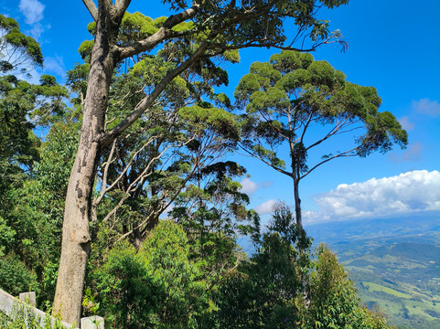 Mosteiro de São João-坎普斯－杜若尔当必去景点