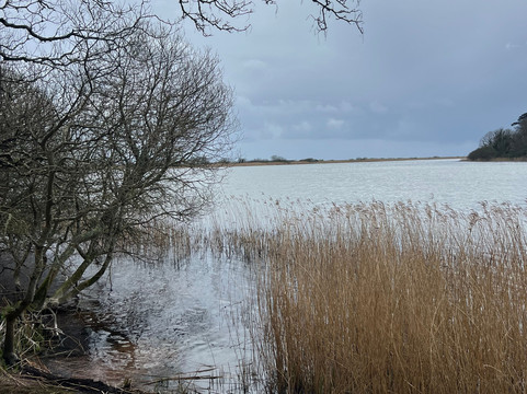 Slapton Ley Field Centre-Slapton必去景点